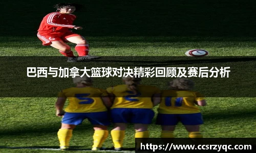 jn江南·体育登录入口