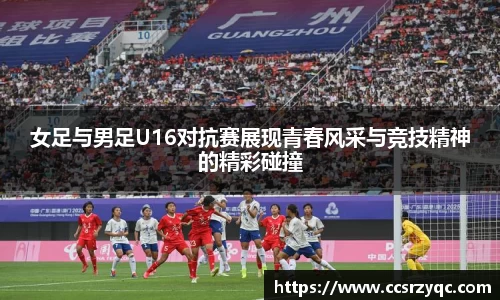 jn江南·体育登录入口